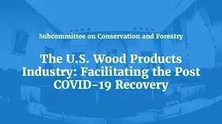 The U.S. Wood Products Industry: Facilitating the Post COVID-19 Recovery