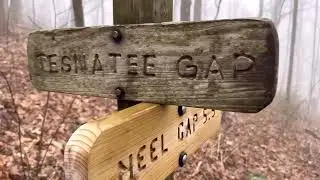 Day5 Appalachian Trail thru Hike 2025 Neels Gap to Low Gap Shelter
