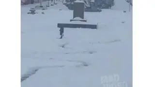 Дворник пранкер