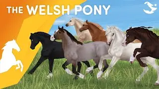 The Gen 3 Welsh Pony! 😍💜 | Star Stable Horses