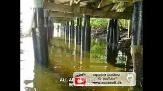 All Around Docks dock piling repair reinforcement