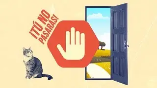 ¿Tu gato quiere escaparse? 🌳🐈🏠 | Convierte tu casa en un paraíso gatuno 😻✨