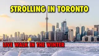 🔴 Live: Walking Toronto Streets in Winter | Cozy City Vibes & Real Toronto Life #live #livestream