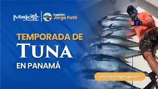 Pesca de Tunas en Panam&aacute;: Temporadas y Mejores Lugares | Capit&aacute;n Jorge Petti