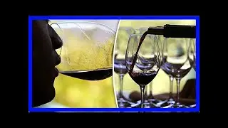 Wine glasses now seven times larger than in georgian times