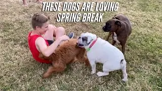 SPRING BREAK BEGINS - DISNEY CLOSED SO WE IMPROVISE
