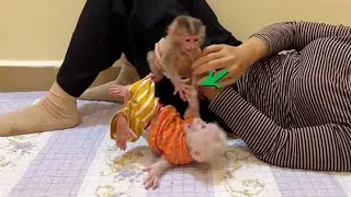 Mom Help Baby Titas Out From Naughty Bro Pavpav Want To B-te Him