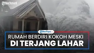 Viral Video 1 Rumah di Lumajang Masih Berdiri Kokoh Meski Dihantam Lahar Erupsi Gunung Semeru