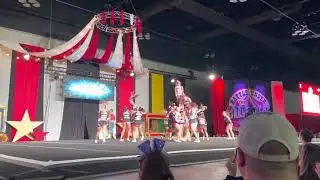 Stingrays Allstar Neon #BUTBT