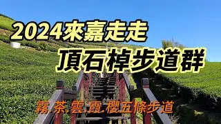 [嘉義]2024來嘉走走~頂石棹步道群|霧茶雲霞櫻五條步道