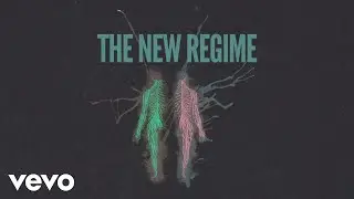 The New Regime - Destructive Patterns