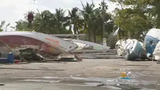 After Irma, Sailboat Junkyard To Be Cleared In Coconut Grove