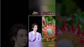BTS members favourite flower 🌹🌼💜💜#bts #cutearmy