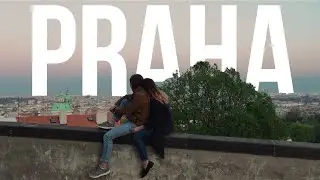 Переезд в Прагу/Выставки/Операция Максима/Украинская страховка. NOW IS GOOD Vlog