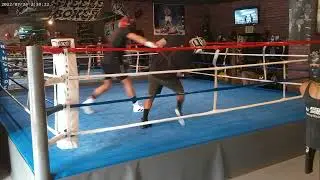 BASIC SPARRING-STEELEBOXER GYM ONLINE BOXING/KICKBOXING TRAINING PROGRAM www.steeleboxer.com