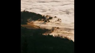 JOURNEY