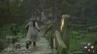 Hogwarts legacy. Follow the butterflies bug.