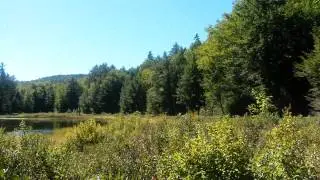 Jackson NH real estate by Bill Barbin