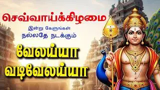 🔴 LIVE SONG | தை வியாழக்கிழமை வெற்றி தரும் முருகன் பாடல் வேலய்யா வடி வேலய்யா Murugan Tamil Songs