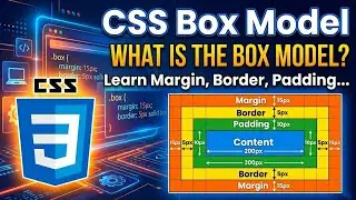 CSS Box Model Explained for Beginners | Margin, Border, Padding