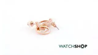Ladies Swarovski Two-tone steel/gold plate Circle Earrings (5349204)