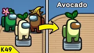 Secret Story of the New Colors 