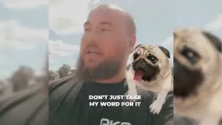 Need help training your dog?