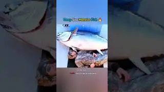Deep Sea Monster Tuna Fish 🔥 #shorts #viralvideo