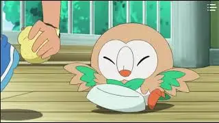 Ash steal rowlet food!