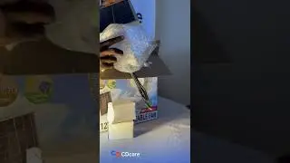 Qasa 12