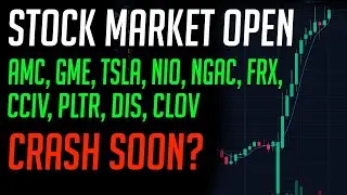 Stock Market Open - AMC, GME, TSLA, NIO, NGAC, XPEV, FRX, PLTR, CCIV, DIS
