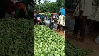 today sabji ka ret
