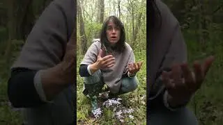 Reverend Lucy - Video 25 - Being More Selective