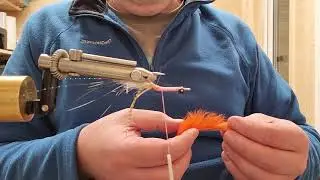 SPAWNING SHRIMP
