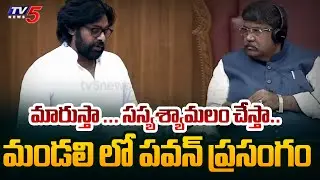 AP Deputy CM Pawan Kalyan Speech in AP Council | AP Political News | TV5 News