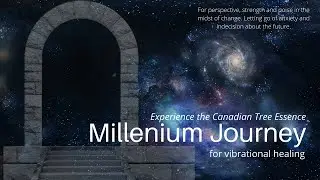 Millenium Journey Vibrational Essence