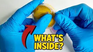 I Opened a RANDOM Slime Kit… and It Was NOT OK 😳