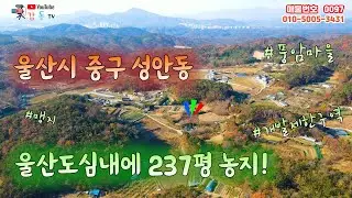 97 울산시 중구 성안동(풍암마을 최저가 토지!!)