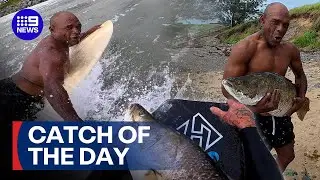 Hilarious surfers tackle giant barramundi | 9 News Australia