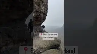 A Must Add Hiking Spot In Germany! Saxon Switzerland National Park! #germany #hiking #travel