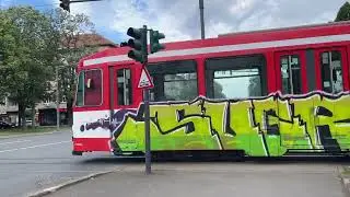 Variety of Trams in Arad, Romania 2025 - Tramvaie în Arad