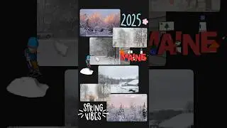 Spring in Maine! 🦞🌲❄️ #maine #maineusa🇺🇲 #mainespringtime #spring2025