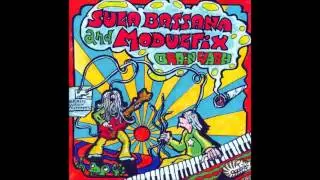 Sula Bassana & Modulfix - Brain Wash