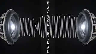 EXTREME DEEP BASS TEST 46HZ 4438WATT SUBWOOFER TEST