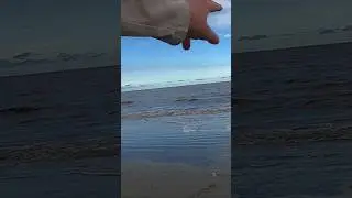 SURF FISHING TIPS: Cast Up Current To Keep Line Perpendicular To The Beach #beginner #outdoors #fun