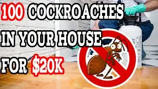 Company wants to put 100 Cockroaches in your house for 30 days | The BarCast Comedy Highlights