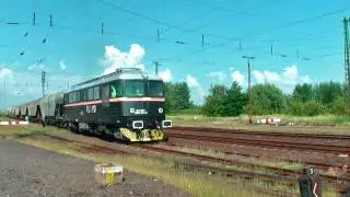 Floyd in Kisv&aacute;rda with Transcereales wagons 23.7.2010
