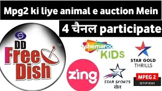 DD Free Dish MPEG-2 Annual E-Auction 4 Channels Participated DD Free Dish New Update Today 