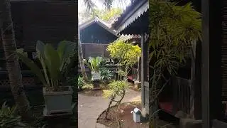 Pondok 21 metro #lampung #metro #kuliner #kulinerlampung #kotametro
