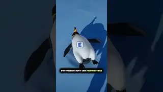 Penguin Helper